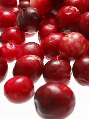Close up of fresh whole Oregon Cranberries. Cranberex utilizes the whole fruit to achieve its powerful 36 mg PAC content in every capsule. Support urinary, kidney and gut health with the power of whole fruit goodness. 